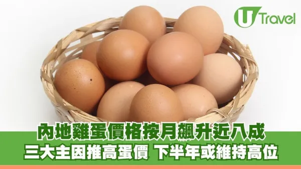 又要捱貴蛋？內地雞蛋價格按月飆升近八成 三大主因推高蛋價 下半年或維持高位