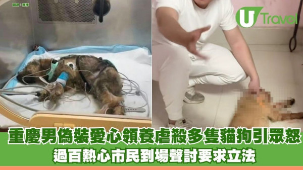 重慶男偽裝愛心領養虐殺多隻貓狗引眾怒 過百熱心市民到場聲討要求立法 