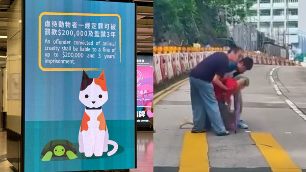 香港有咩好？內地客列3大真正文明！狂讚高質素 扶長者唔擔心被屈錢