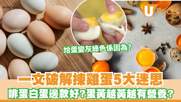 買雞蛋｜啡蛋白蛋邊款好？蛋黃越黃越有營養？一文破解揀雞蛋5大迷思 烚蛋變灰綠色係正常！