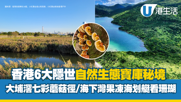 香港生態秘境｜6大隱世自然寶庫！大埔滘奇幻七彩蘑菇徑/海下灣果凍海划艇看珊瑚（附交通攻略）