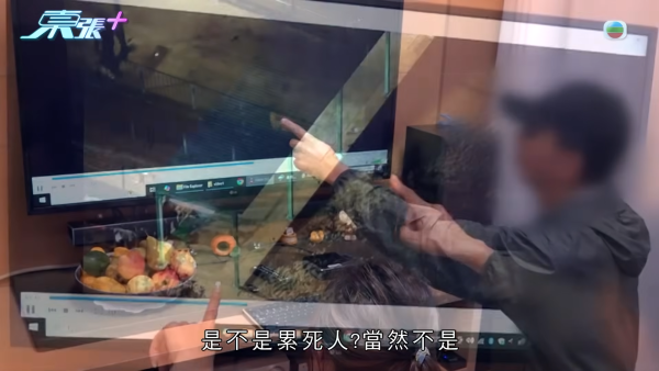 深井碼頭驚現缺德狗主狂掟狗屎！街坊化身偵探夜夜埋伏搜證成功「斷正」
