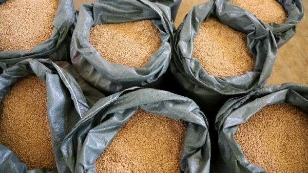 厄尔尼诺杀到！港人10大常吃食物恐加价 FAO警告粮食通胀 附省钱方法