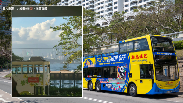 50元有找！城巴落日飞车！隐藏港岛海岸线看海景，网友教必坐1神位