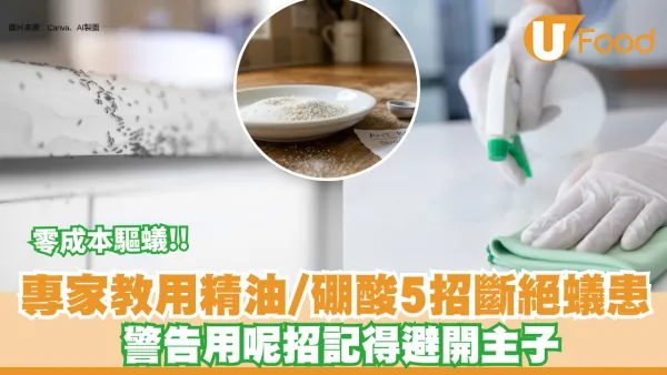 驅蟻方法｜屋企殺極都有螞蟻？ 專家教用精油/硼酸5招斷絕蟻患 警告用呢招記得避開寵物