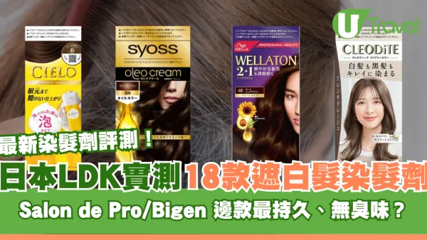日本LDK實測18款「遮白髮染髮劑」！Salon de Pro/Bigen 邊款染髮最持久、無臭味？