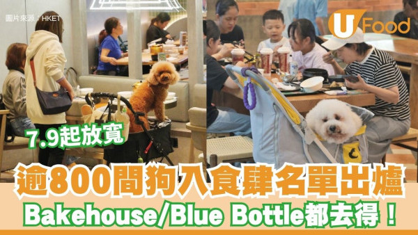 狗隻入食肆名單出爐！全港833間餐廳7.9起放寬 Bakehouse/Blue Bottle都去得！附18區餐廳地址