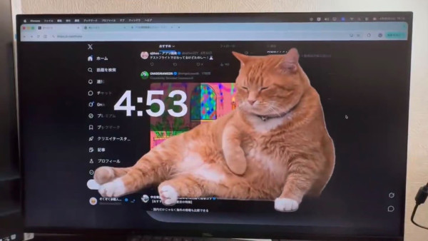 日本爆紅Chrome擴充功能「護眼橙貓」登場！定時彈出阻擋螢幕提你休息！網民大讚：對貓毛敏感同樣體驗到被貓咪親近