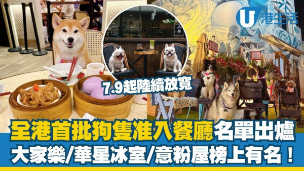 狗食肆名單︱全港首批狗隻准入餐廳7.9起陸續放寬 大家樂/華星冰室/意粉屋榜上有名！