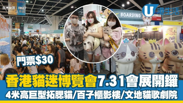 2026香港貓迷博覽會7.31會展開鑼 門票$30入場！4米高巨型拓腮貓/百子櫃影樓/文地貓歌劇院