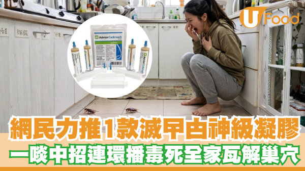 滅曱甴神級凝膠！瑞士Advion一啖中招連環播毒／多達50隻同伴死全家