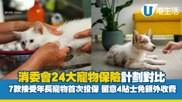消委會寵物保險24大計劃比較 年費差近14倍？3大計劃不設自負額/醫療保額達10萬！