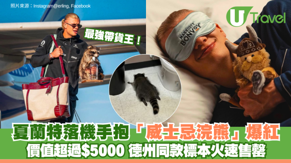 最強帶貨王！夏蘭特落機手抱「威士忌浣熊」爆紅！價值超過$5000 德州同款標本火速售罄