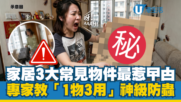 家居3大常見物件最惹曱甴！專家教「1物3用」神級防蟲 一隻都冇得留低