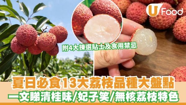 荔枝品種｜夏日必食13款荔枝品種大盤點！ 一文睇清桂味/妃子笑/無核荔枝特色 附4大揀選貼士及食用禁忌