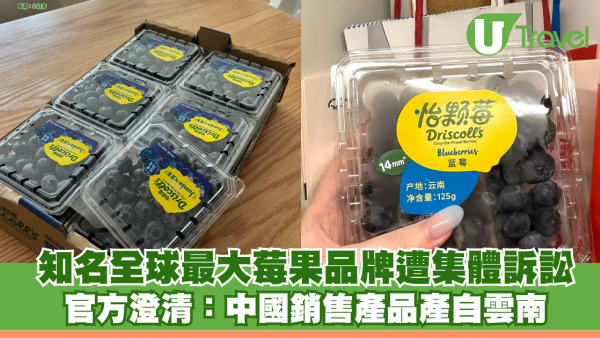 知名莓果品牌Driscoll's在美遭集體訴訟！指殘留致癌物 官方澄清：中國銷售產品產自雲南