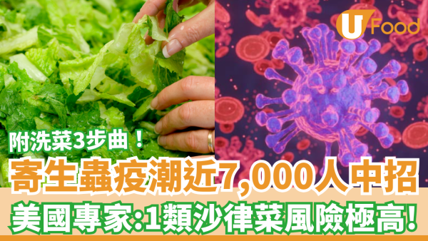 寄生蟲腸道疫潮爆發！近7,000人中招或疑似個案 ／專家：1類沙律菜感染風險極高