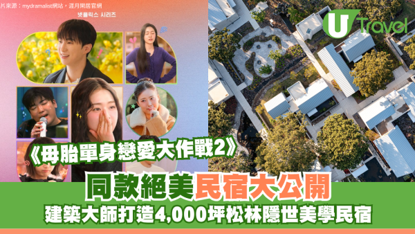 《母胎單身戀愛大作戰2》同款絕美民宿大公開！建築大師打造4,000坪松林隱世美學旅宿