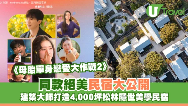 《母胎單身戀愛大作戰2》同款絕美民宿大公開！建築大師打造4,000坪松林隱世美學旅宿