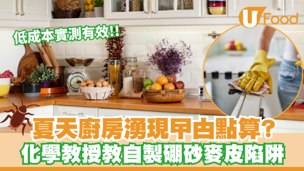夏天廚房湧現曱甴點算？化學教授教自製硼砂麥皮陷阱／低成本實測有效