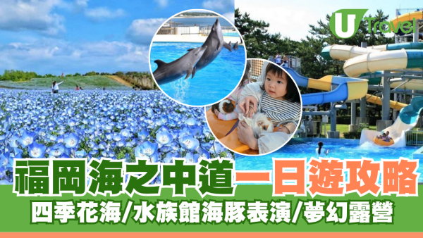 福岡自由行｜海之中道一日遊攻略！四季花海/水族館海豚表演/夢幻露營路線