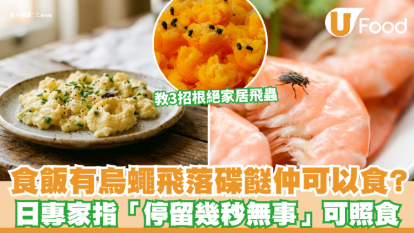 食飯有烏蠅飛落碟餸仲可以食？日專家指「停留幾秒無事」加碼教3招根絕家居飛蟲