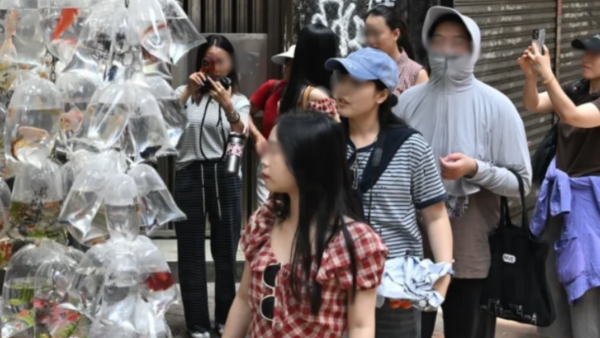 港漂崩潰港人講嘢粵英普大亂鬥！網民揭呢個講法最乾脆 教3招方法輕鬆應對