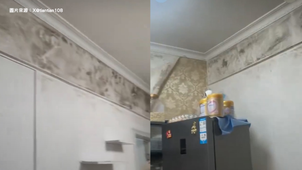一家屡生病查无因！撕开墙纸惊见全屋“墨汁黑霉”成毒气室 小心3大致病危害！