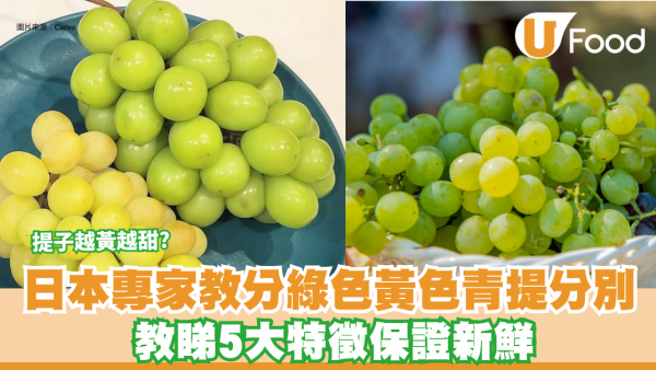 揀選提子｜提子越黃越甜？日本專家教分綠色黃色青提分別 教睇5大特徵保證新鮮！