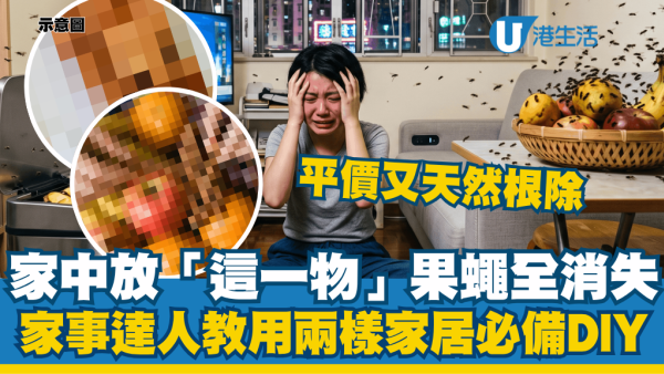 水果盤放「這一物」果蠅全消失！家事達人教用兩樣家居必備DIY：平價又天然根除