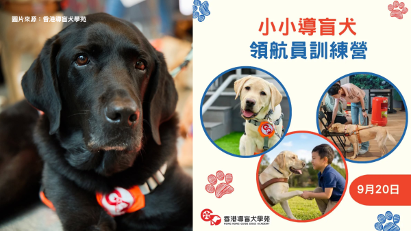 週末必去！香港導盲犬訓練營招募小小領航員 超近距離互動+獲頒紀念證書
