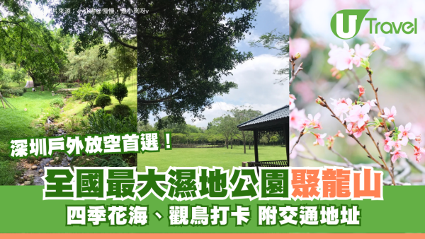深圳戶外放空首選！全國最大濕地公園聚龍山 四季花海、觀鳥打卡 附交通地址