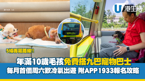  九巴寵物巴士｜年滿10歲毛孩免費搭！每月首個周六出遊&5條專屬路線 附APP1933報名攻略