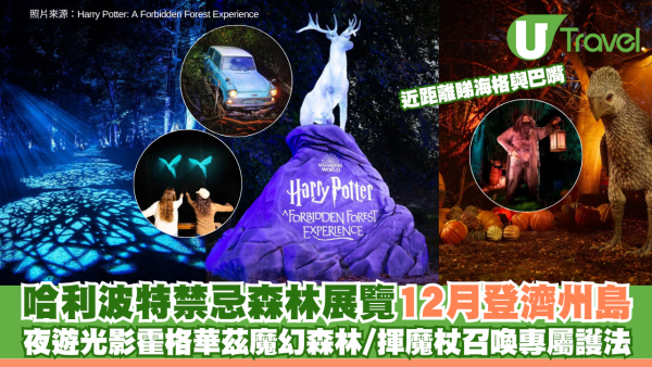 《哈利波特：禁忌森林體驗》12月登濟州島！夜遊光影霍格華茲魔幻森林/近距離睇海格與巴嘴/揮魔杖召喚專屬護法