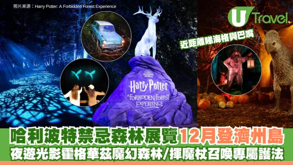 《哈利波特：禁忌森林體驗》12月登濟州島！夜遊光影霍格華茲魔幻森林/近距離睇海格與巴嘴/揮魔杖召喚專屬護法