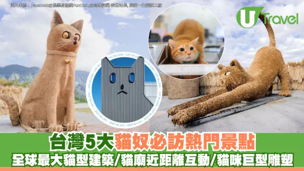 台灣5大貓奴必訪熱門景點 全球最大貓型建築/貓廟近距離互動/貓咪巨型雕塑
