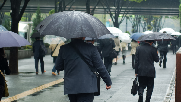心理测试｜打风落雨带哪把伞？秒测隐藏性格，挑这款原来最值得深交
