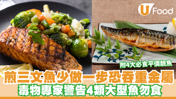 煎三文魚少做一步恐吞重金屬？毒物專家警告4類大型魚勿食 附4大必食平價靚魚