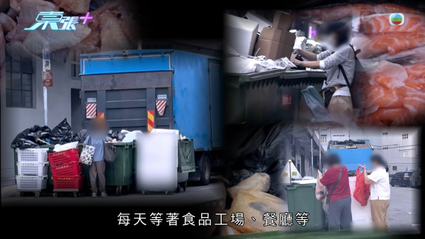葵涌大媽垃圾桶執三文魚恐流入市面！內情曝光揭驚人真相 食環署急介入