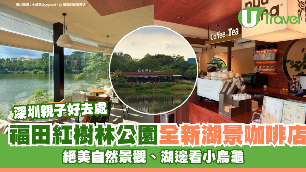 深圳親子好去處｜福田紅樹林公園全新湖景咖啡店！絕美自然景觀、湖邊看小烏龜