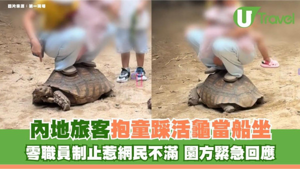 內地旅客抱童踩活龜當船坐！零職員制止惹網民不滿 園方緊急回應