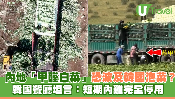 內地爆「甲醛白菜」恐波及港人常吃韓國泡菜？ 韓國餐廳：短期內難停用中國白菜 附3招自保步驟