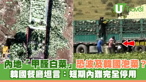 內地爆「甲醛白菜」恐波及港人常吃韓國泡菜？ 韓國餐廳：短期內難停用中國白菜 附3招自保步驟