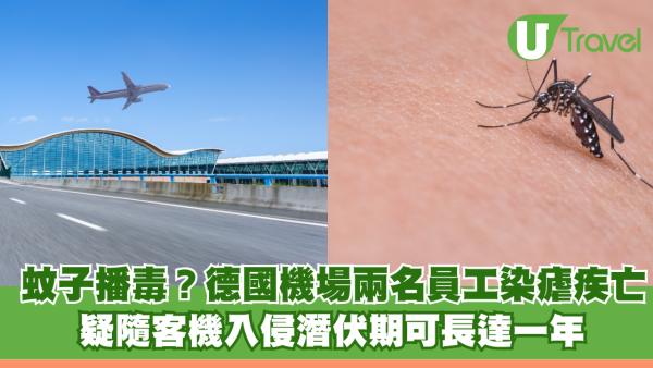 蚊子搭飛機播毒？德國機場兩名員工染瘧疾亡 疑隨客機入侵潛伏期可長達一年