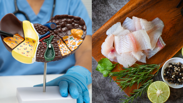 脂肪肝改吃魚肉3個月即降肝臟脂肪近5％！專家：血糖、肝功能、膽固醇全部變好