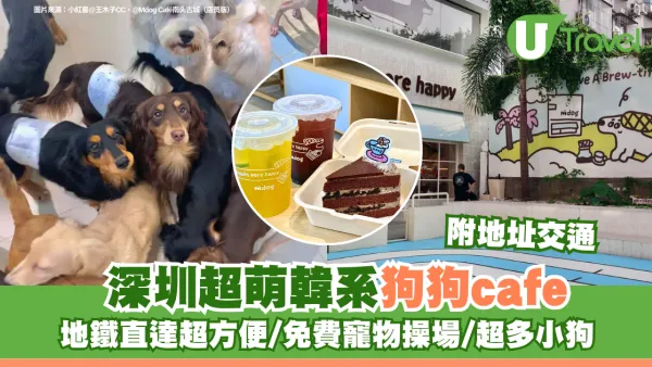 深圳超萌韓系狗cafe附交通地址 地鐵直達超方便/免費寵物操場/超多小狗