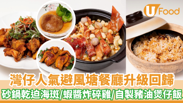 灣仔人氣避風塘海鮮餐廳升級回歸！砂鍋乾迫海斑/大澳蝦醬炸碎雞/自製豬油煲仔飯