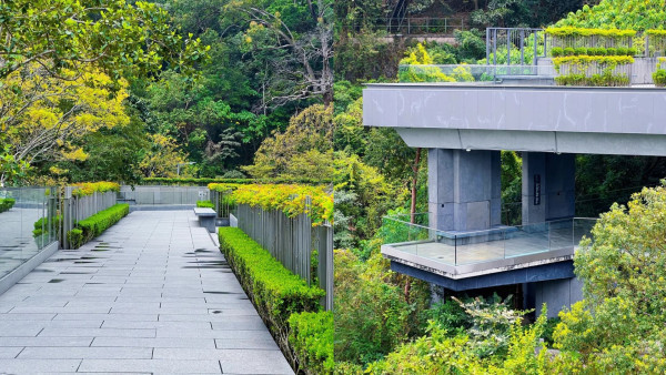 金鐘好去處｜150年軍火庫變身森林秘境！免費開放參觀 附4大打卡位攻略