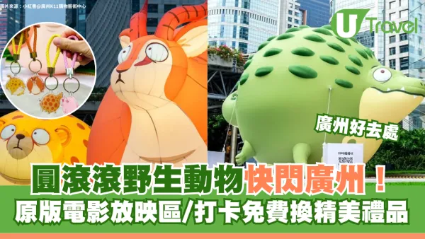 圓滾滾野生動物快閃廣州K11！原版電影放映區/打卡免費換精美禮品