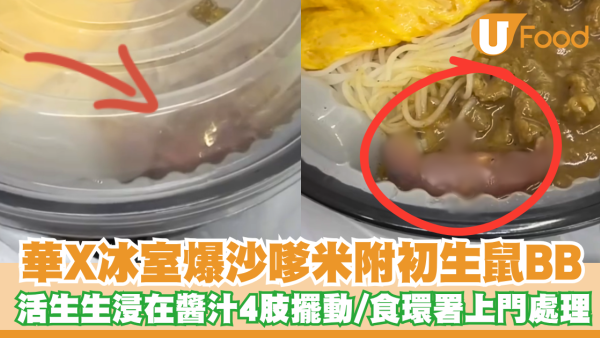 葵涌華姐冰室爆沙嗲米粉附初生老鼠BB！活生生浸在醬汁4肢擺動／食環署上門處理